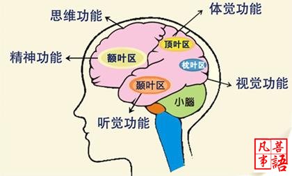 催眠提高记忆力