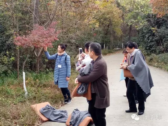 2016年11月栖霞寺禅修·催眠圆满结束